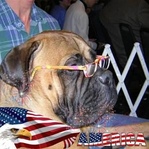 Meet your Posher, Janet